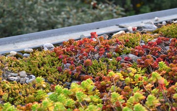 the cost of Lower Thorpe green roof installation
